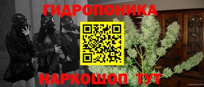 скорость Обь