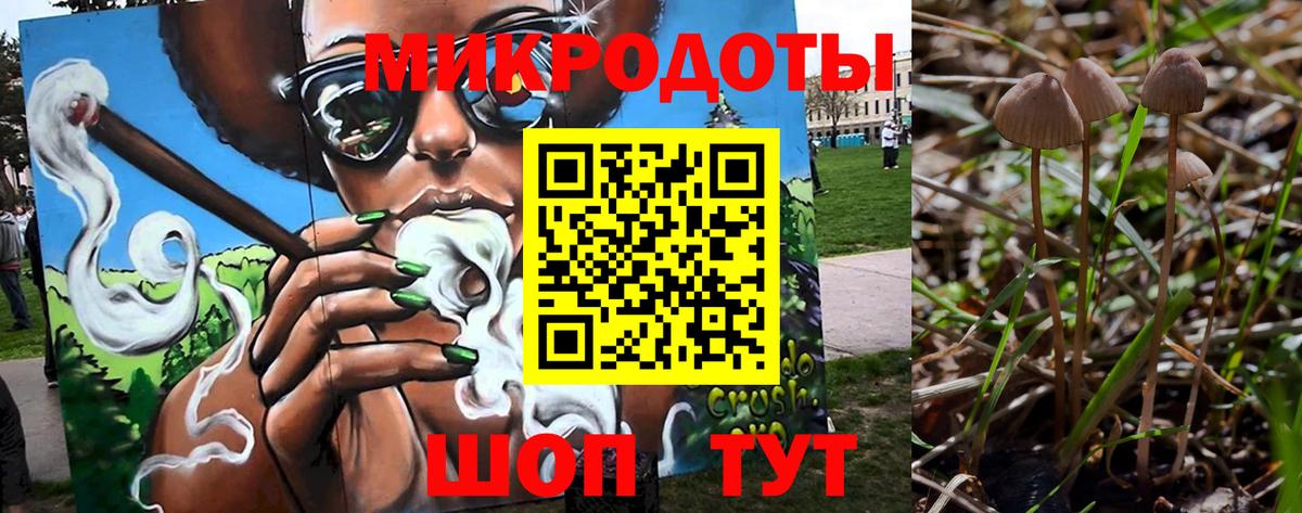 Псилоцибиновые грибы мицелий Первоуральск