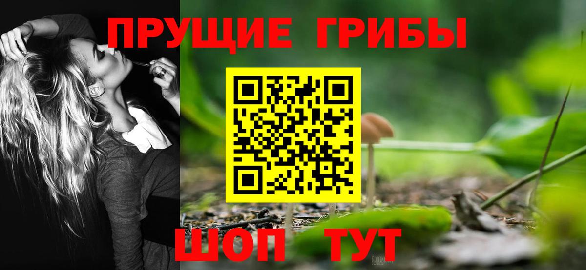 Первоуральск  Псилоцибиновые грибы Psilocybe  магазин  наркотиков  Вход с VPN 